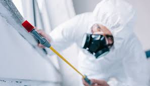 Real Estate Pest Inspections in Euharlee, GA